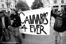 MILLION MARIHUANA MARCH - 2007